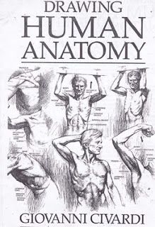 Aprender a dibujar cuerpo humano pdf