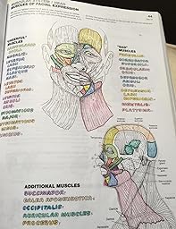 Anatomy coloring book wynn kapit pdf
