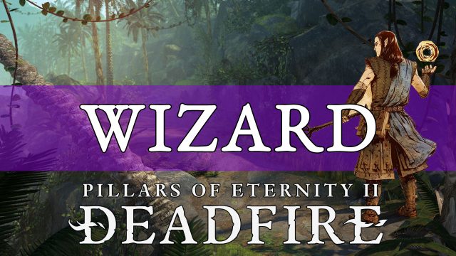 Wizard build guide pillars of eternity