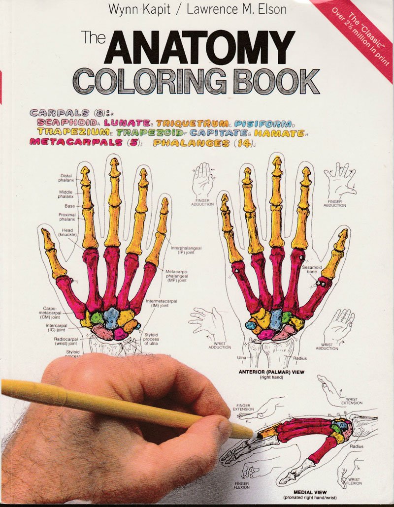 Anatomy coloring book wynn kapit pdf