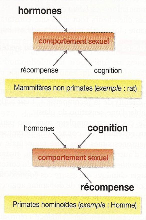 Biologie du comportement humain pdf