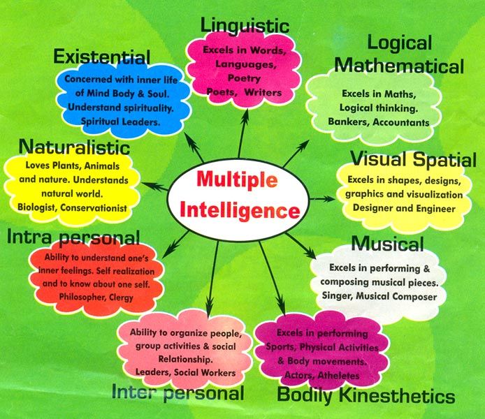 Howard gardner 9 multiple intelligences pdf
