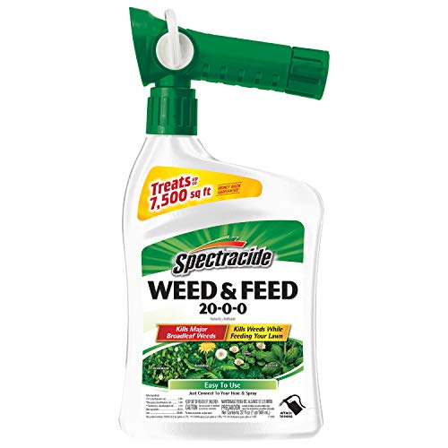 weed and feed application instructions